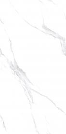 RD18101L_02