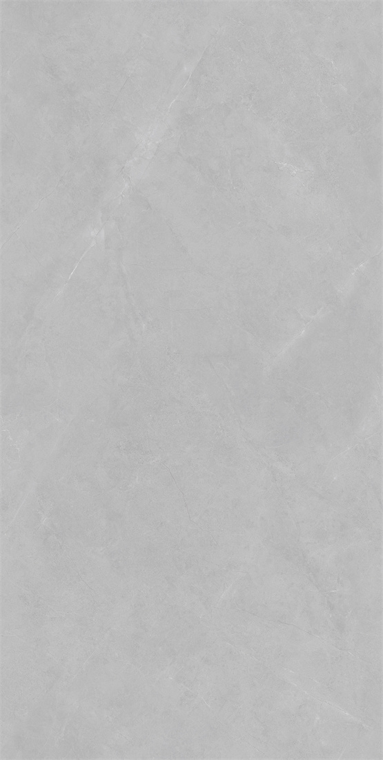 RT12737