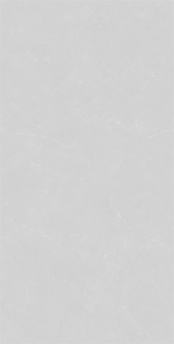 RT12736 