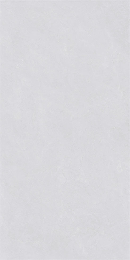 RCF12133 
