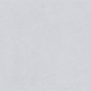 RL88216-2