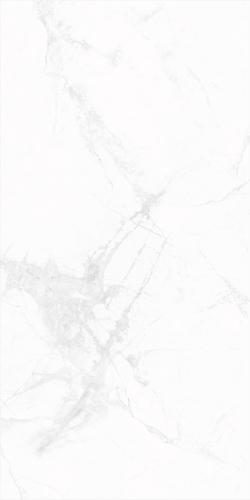 RZ15916-2