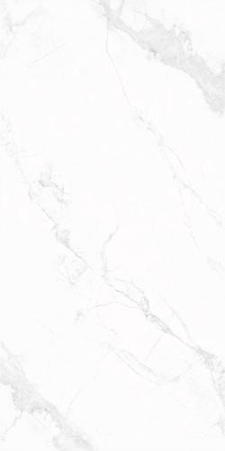 RZ15916-4