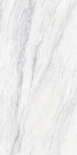 RF15601-3