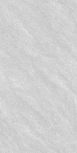 RG13102-4