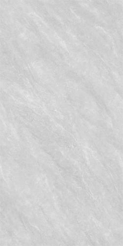 RG13102-2