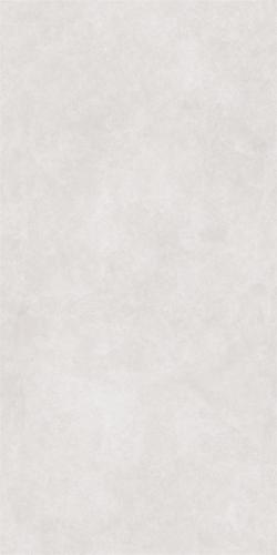 RG13205-2