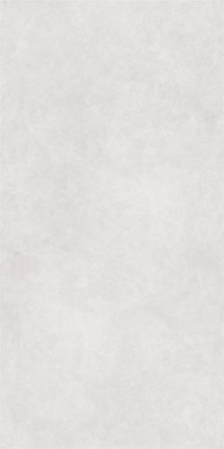 RG13205-4