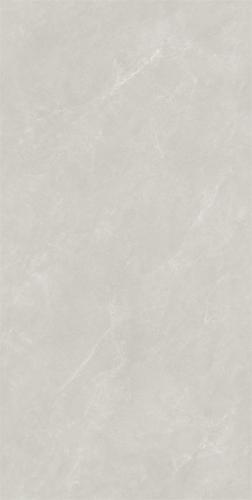 RCF12177-2