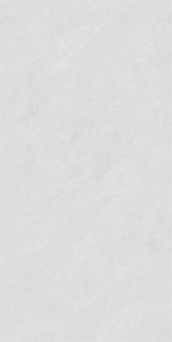 RSP12501-4