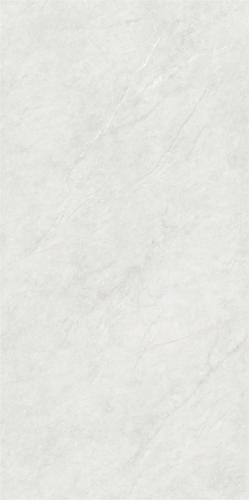 RSP12520 (2)