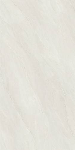 RL84191-2