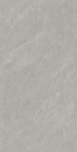 RL84195-2