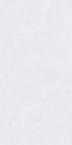 RSP12503-2