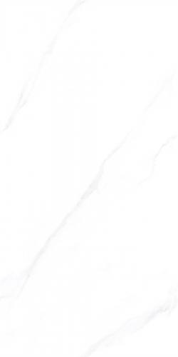 RSP12506-4